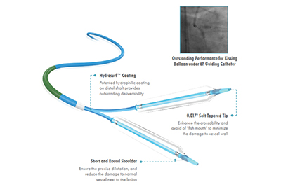 Balloon-Dilatation-Catheter-Tadpole_s